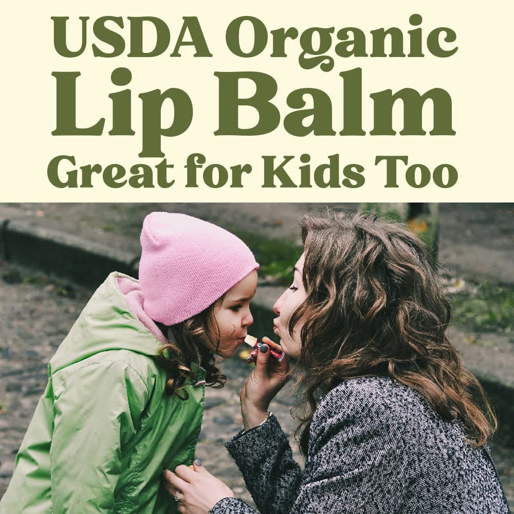 USDA Organic Lip Balm 6-Pack by Earths Daughter Stocking Stuffers - Fruit Flavors, Beeswax, Coconut Oil, Vitamin E - Best Lip Repair Chapstick for Dry Cracked Lips - Moisturizing Lip Care